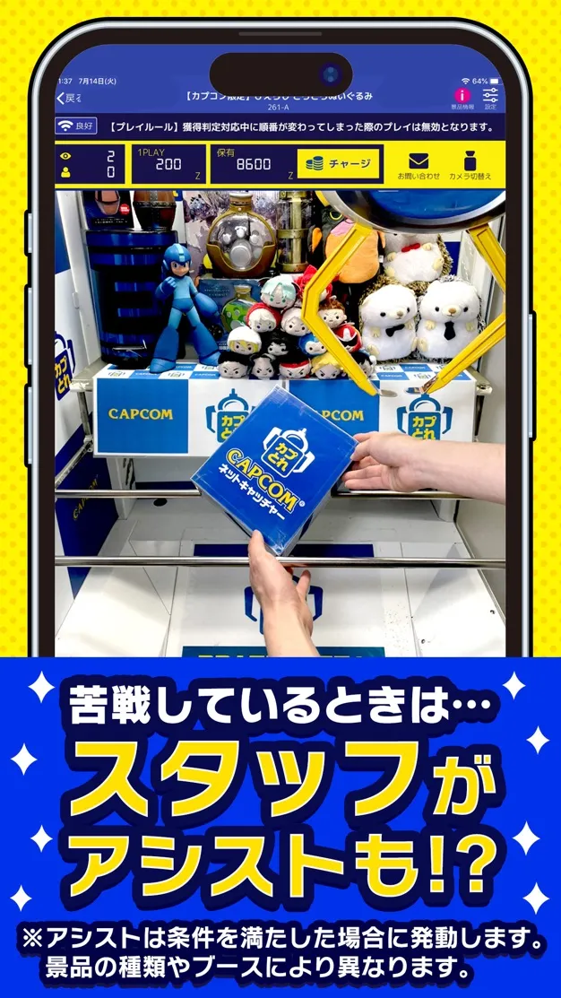 カプとれ