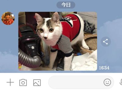 LINEで写真を保存、送信する方法
