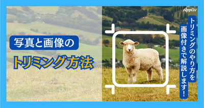 写真・画像を簡単にトリミングする方法　おすすめの切り取り方や便利アプリも