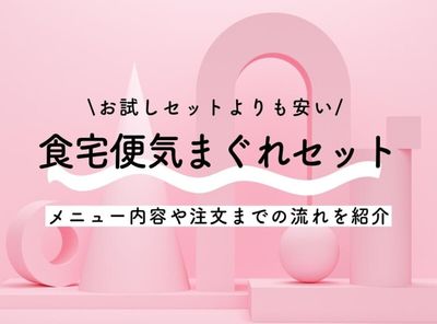食宅便お試しセットが終了!?  お得な注文方法と各コースの違い
