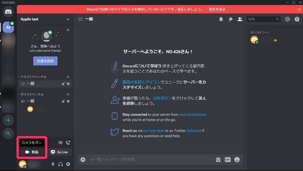 Discord ビデオ通話