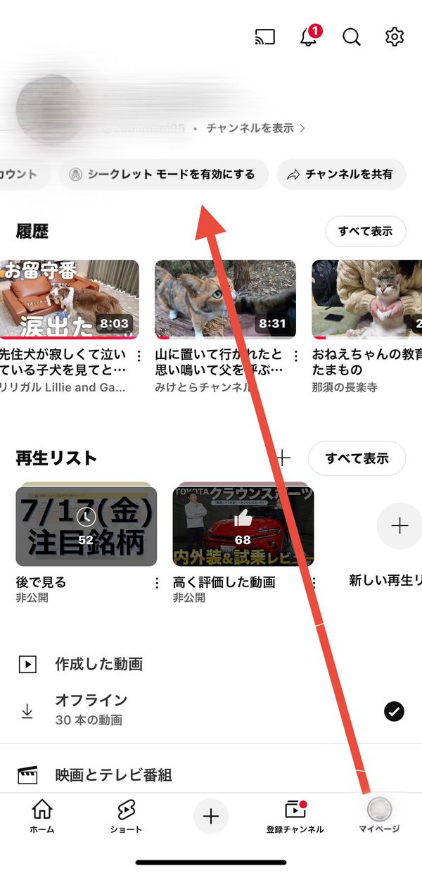 『YouTube』の画面
