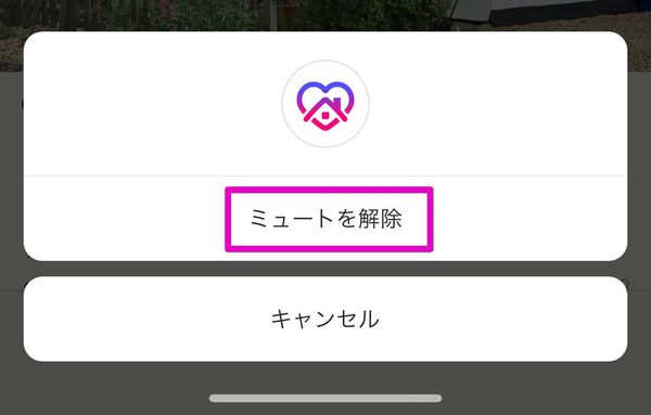 ストーリーのミュートを解除