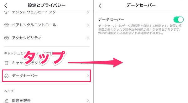 データセーバーの設定画面