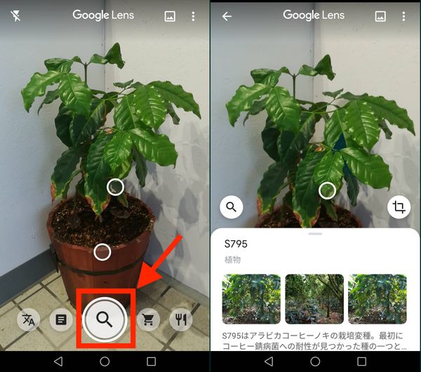 Googleレンズ　使い方③