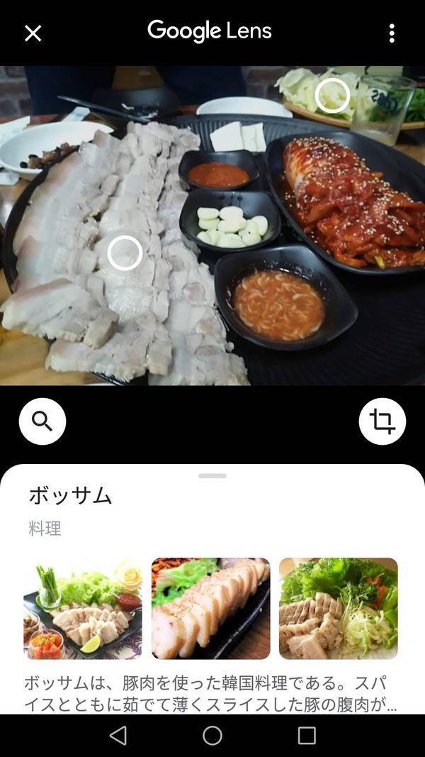 Googleレンズ　使い方⑦