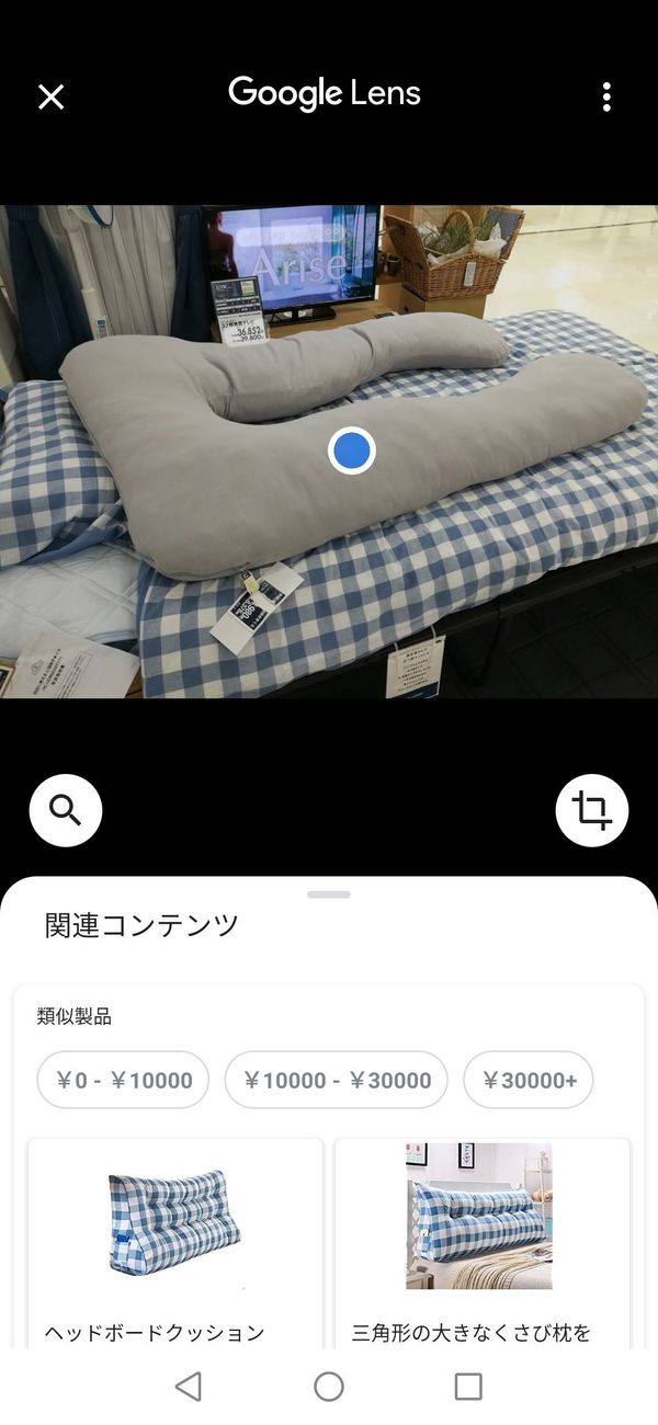 Googleレンズ　使い方⑥