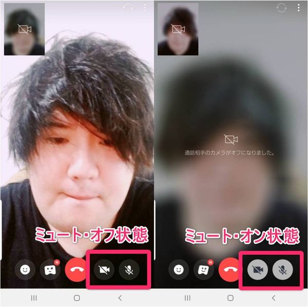 ビデオ通話 ミュート設定