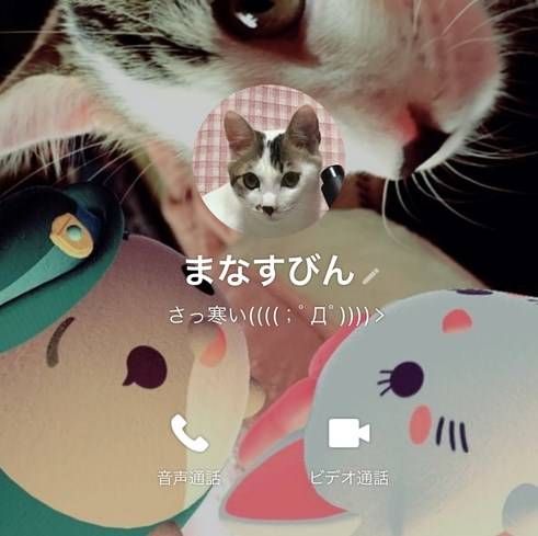 名前変更完了