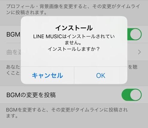 「インストールしますか？」に対して「OK」を選択