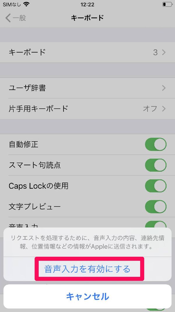 「音声入力を有効にする」をタップ