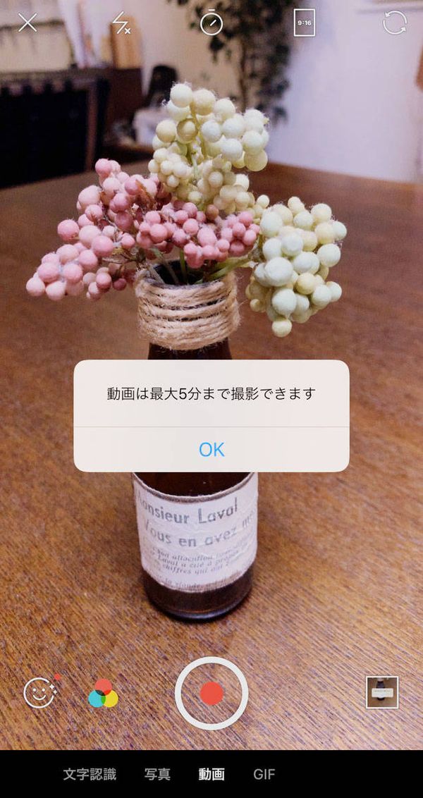 動画は最大5分まで