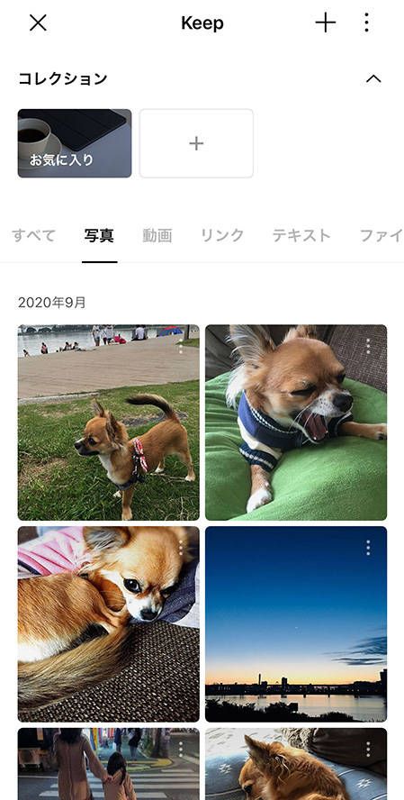 「写真」タブの表示