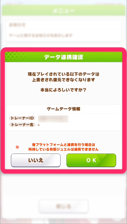 6.ゲームデータ情報に間違いがないか確認し、「OK」を選択