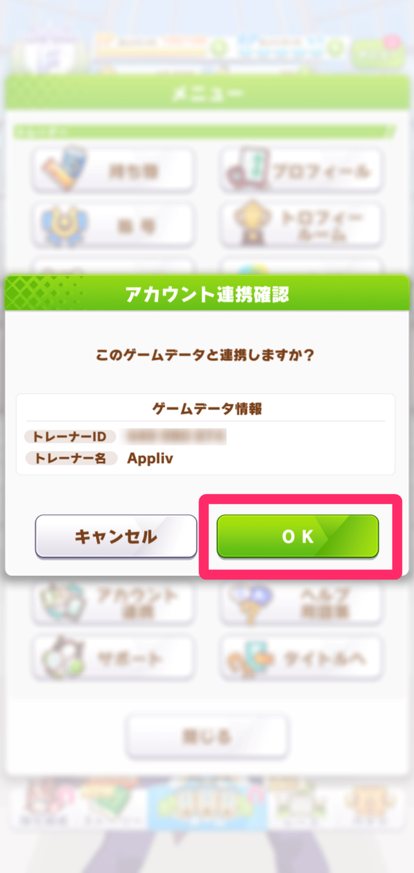5.ゲームデータ情報を確認し、「OK」選択