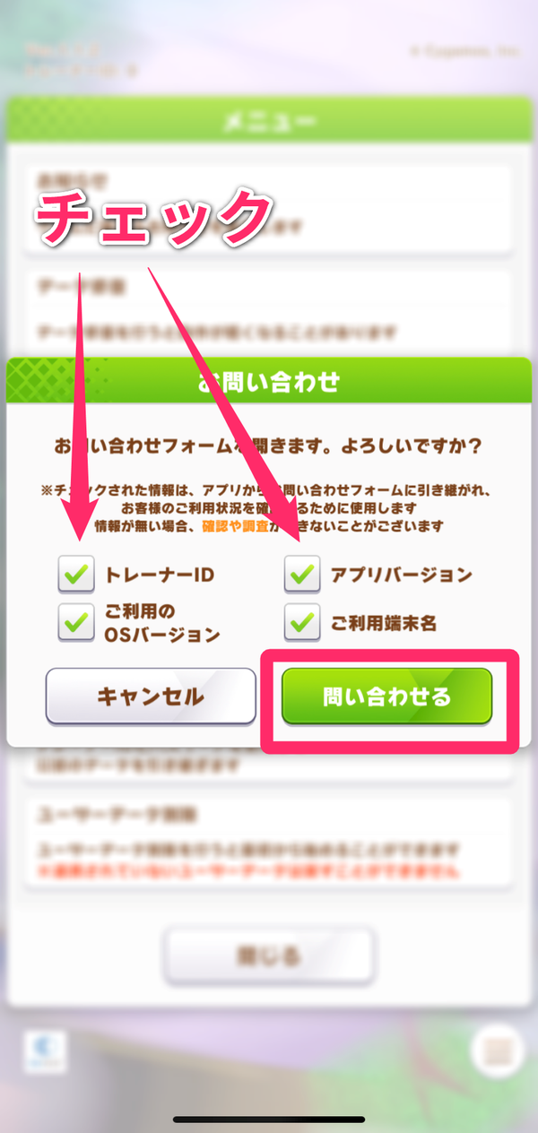 3.必要箇所にチェックを入れ「問い合わせる」を選択