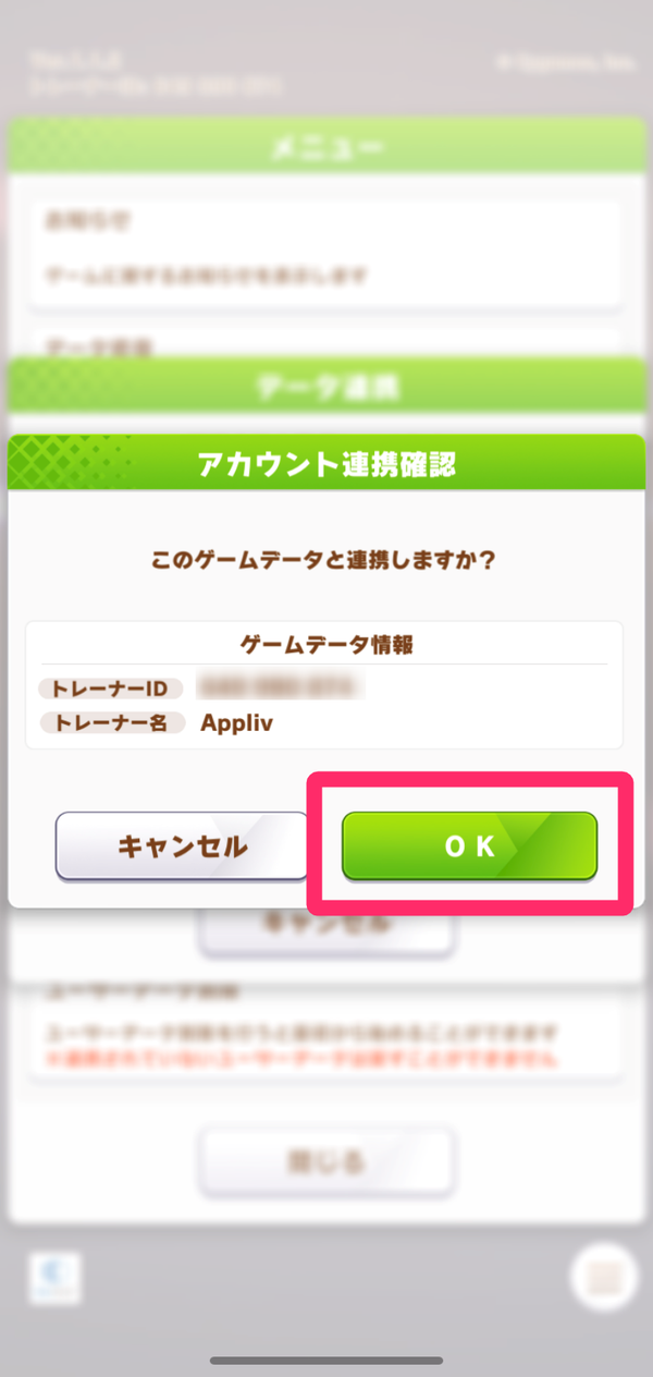 5.ゲームデータ情報に間違いがないか確認し、「OK」を選択