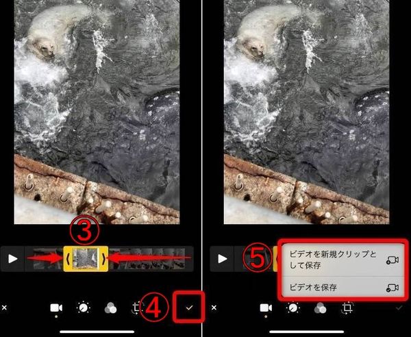 右下の保存ボタンから動画を保存