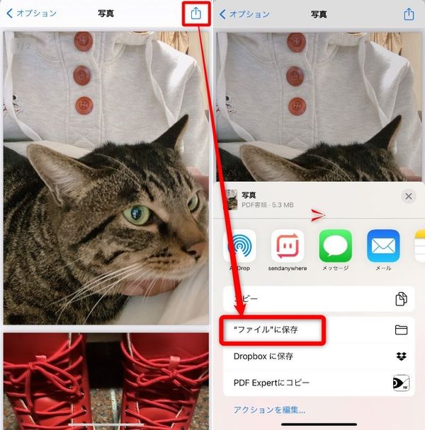 PDFをファイルに保存する