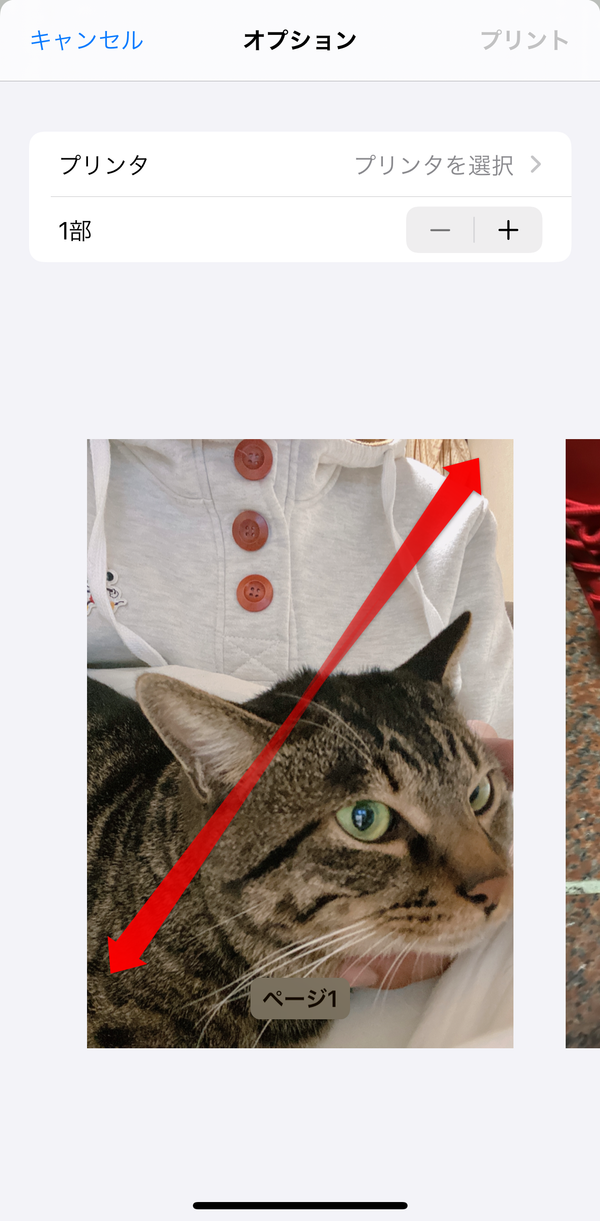 画像を拡大してPDFに変換