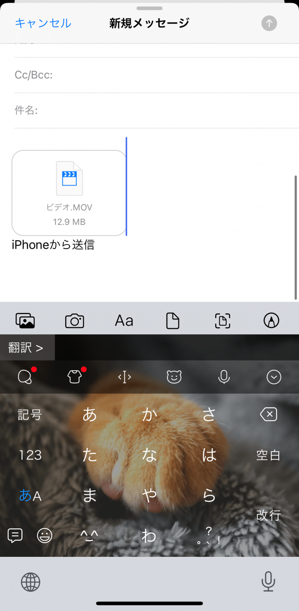 動画を添付したときのスクリーンショット