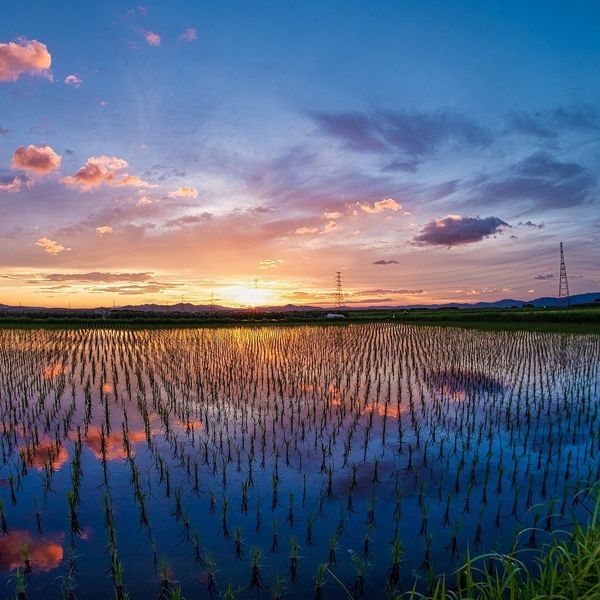 夕日で赤く染まった田舎の風景にエモさを感じる