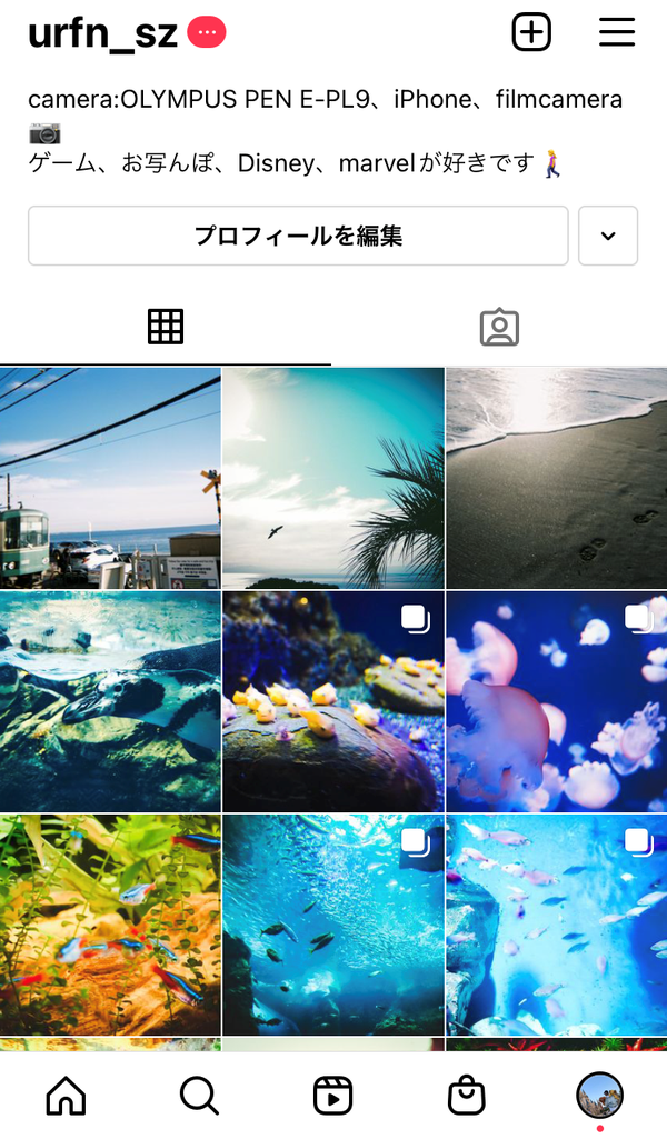 海や熱帯魚が並ぶ画面