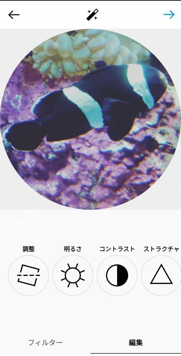 好みでフィルター追加、明るさ調整