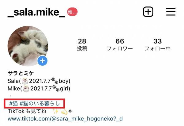 インスタプロフィールのハッシュタグ例