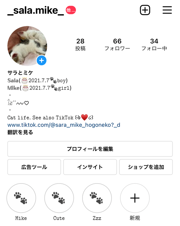自己紹介文はシンプルにまとめるのがおしゃれ