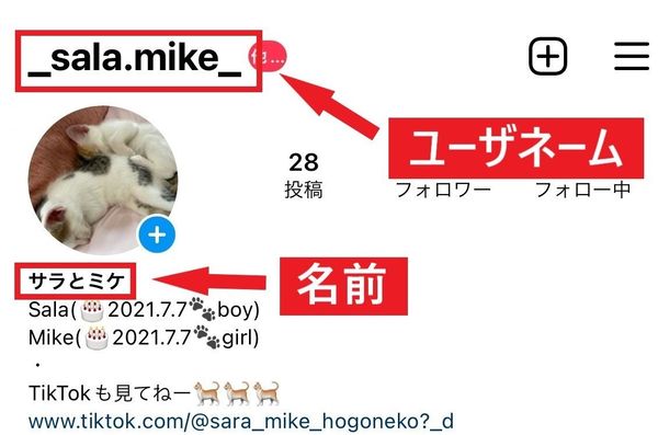 ユーザー名や名前のおしゃれな付け方