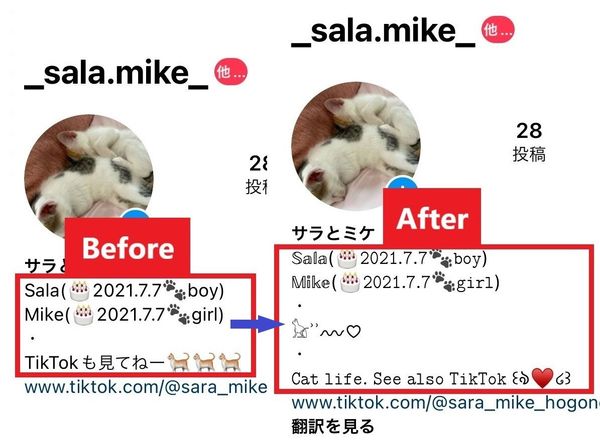 紹介文にはおしゃれな飾り文字を使う