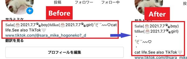 あえて改行や空白を使うことで洗練された印象に