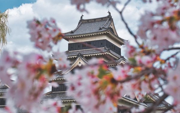 額縁構図で写真をアーティスティックに