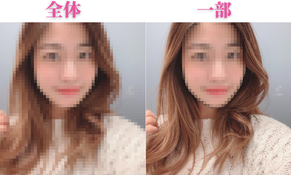 全体と一部にモザイクを入れた加工例