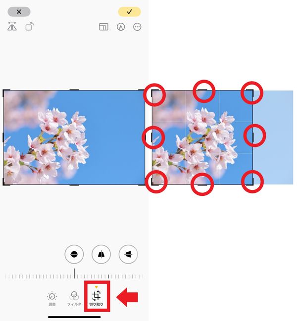 切り抜きサイズを指定する