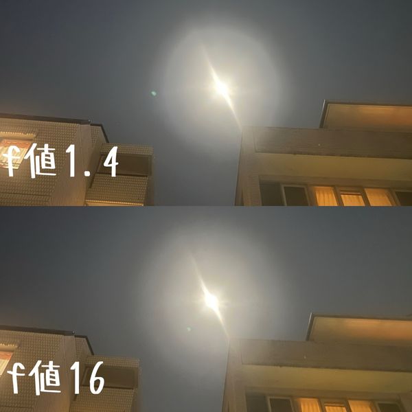 iPhoneのポートレートモードでの撮影