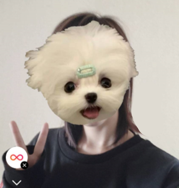 写真に隠し方ができるインスタエフェクト