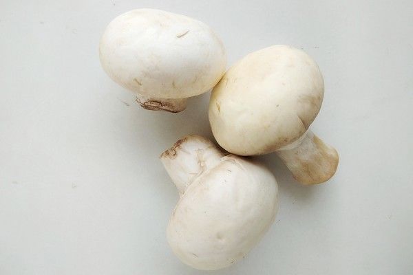 種類が多く旨味もたっぷり。和洋中どれでも使える「きのこ」