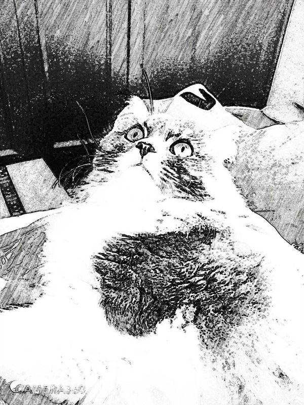 「描画モード」モノクロ