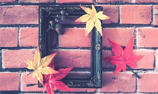 写真をレイアウトするアプリの選び方