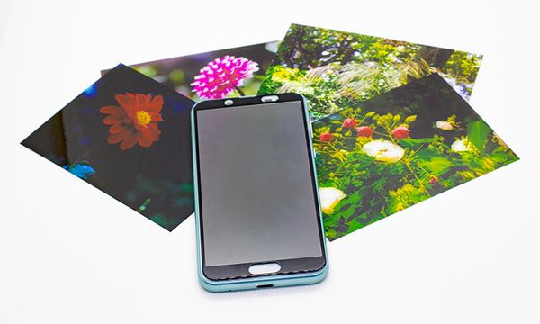 個性的な写真アルバムの作成