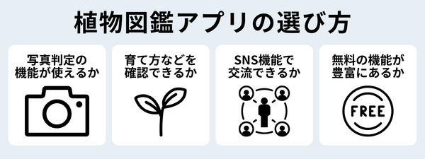 植物図鑑アプリの選び方