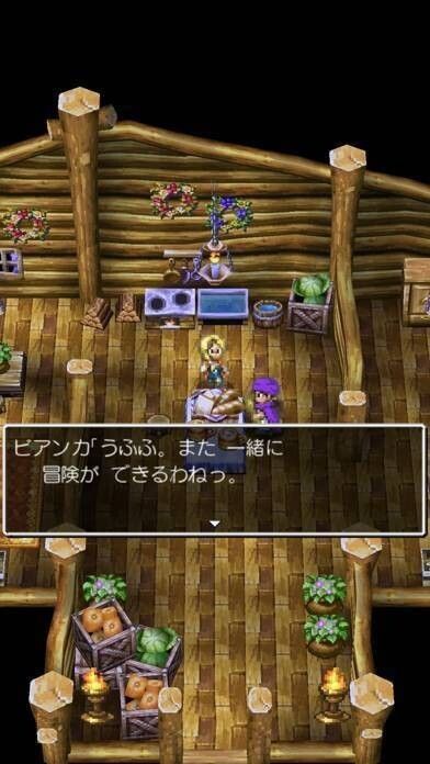 ドラゴンクエストⅤ 天空の花嫁