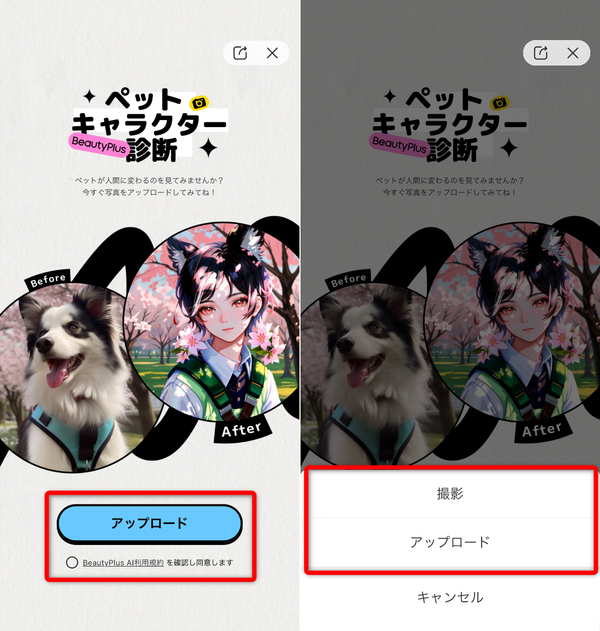 ペットキャラクター診断の操作手順②
