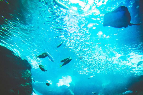 写真の白飛びを防ぐ方法