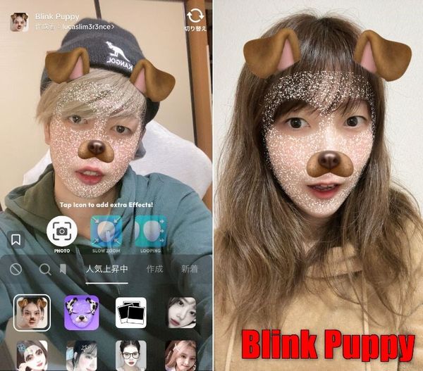 Blink Puppy