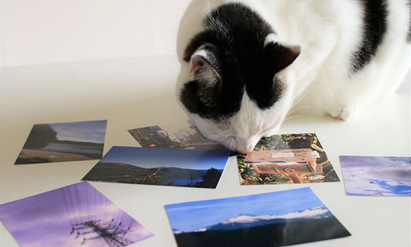 コラージュ画像ってどんな写真？