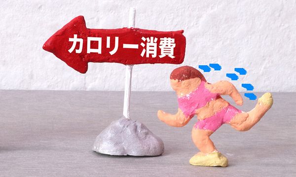 ウォーキングの速さと消費カロリーの関係