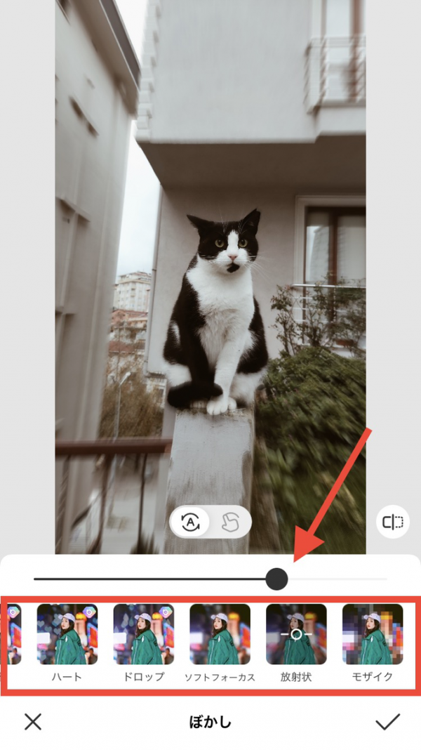 ぼかしの強度やスタイルをカスタマイズする